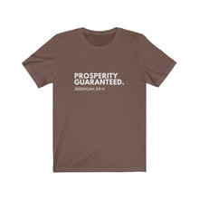 Load image into Gallery viewer, Prosperity Jeremiah 29:11 Christian Jersey Short Sleeve Tee
